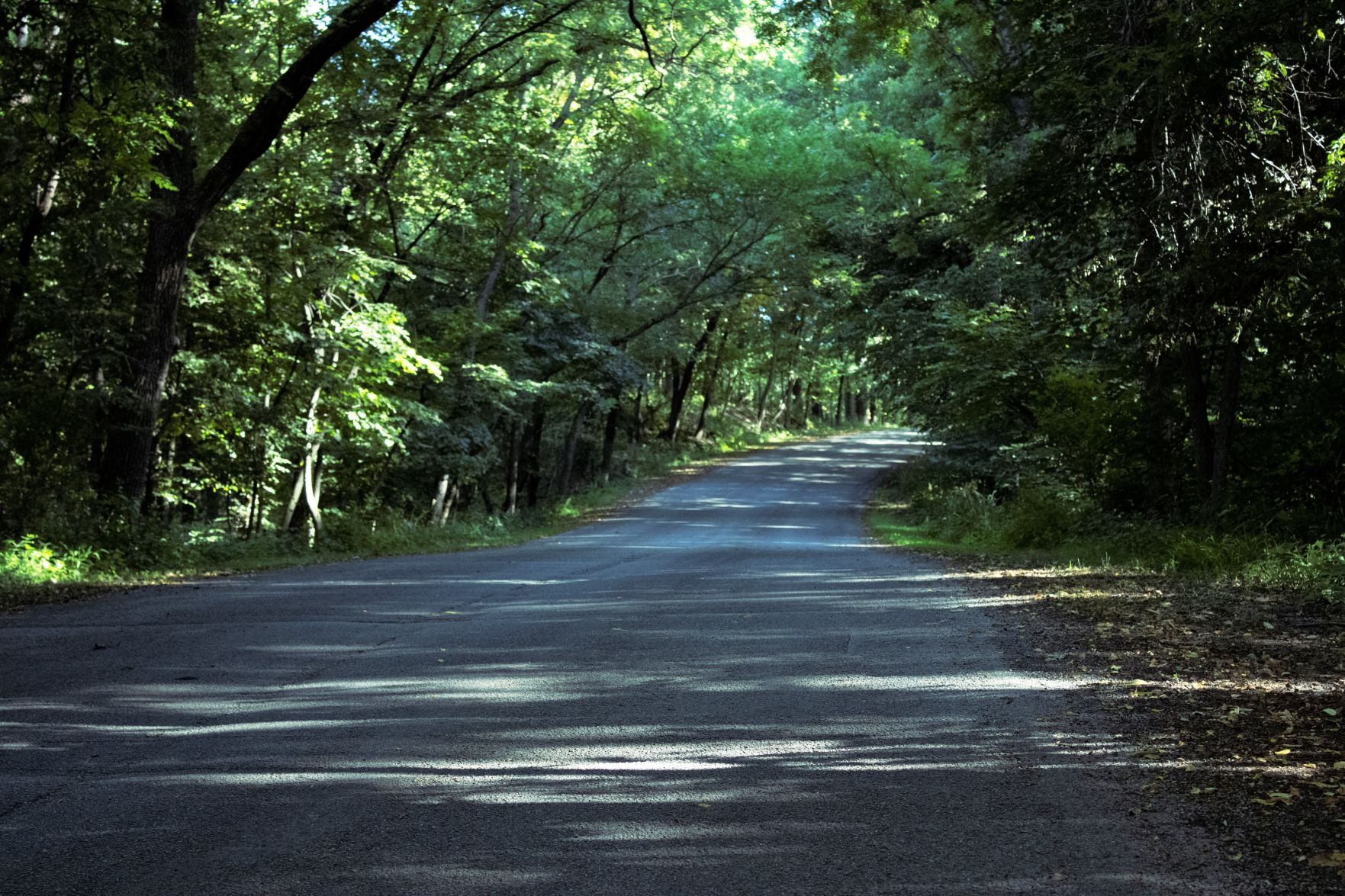 The scenic season drive through Pilot Knob State Park is family favorite near Forest City..jpg